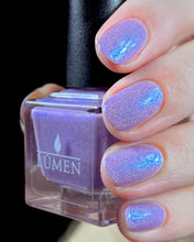 Load image into Gallery viewer, Snow Moth