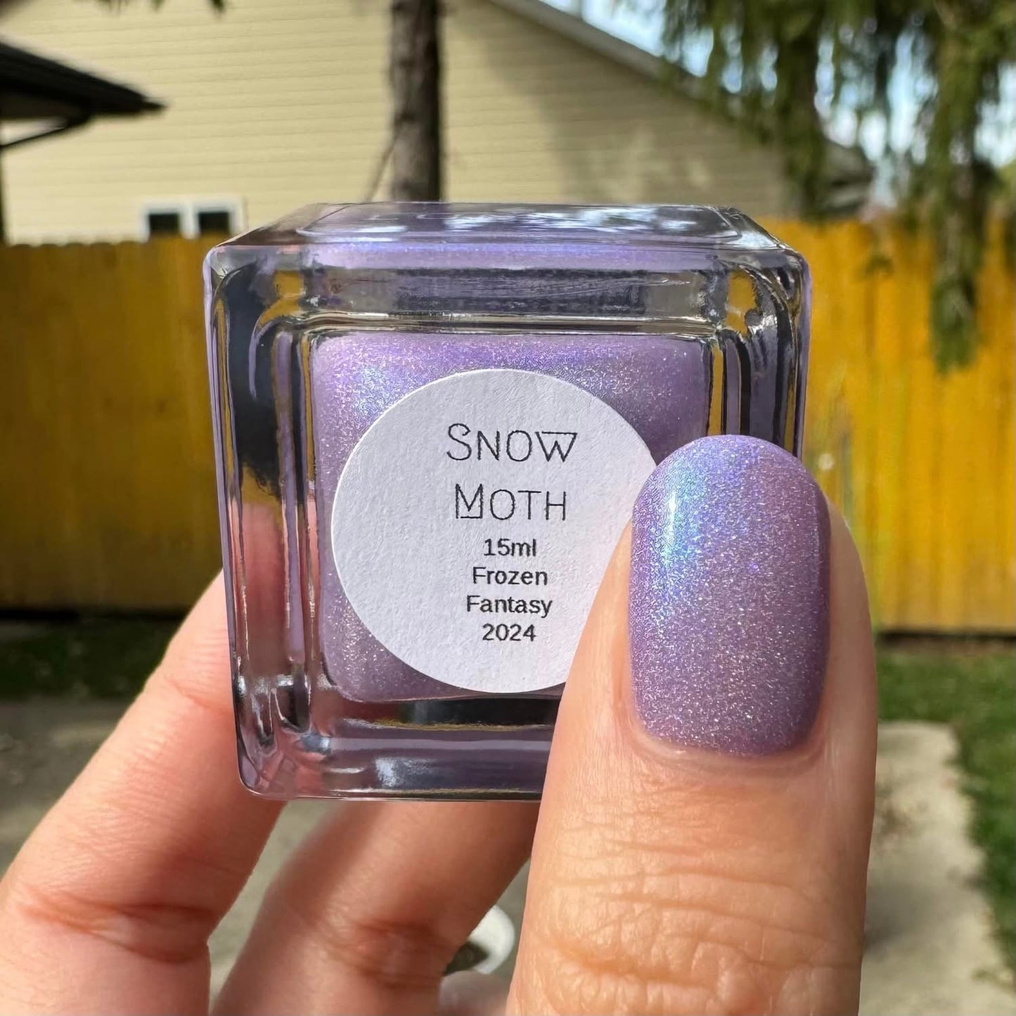 Snow Moth