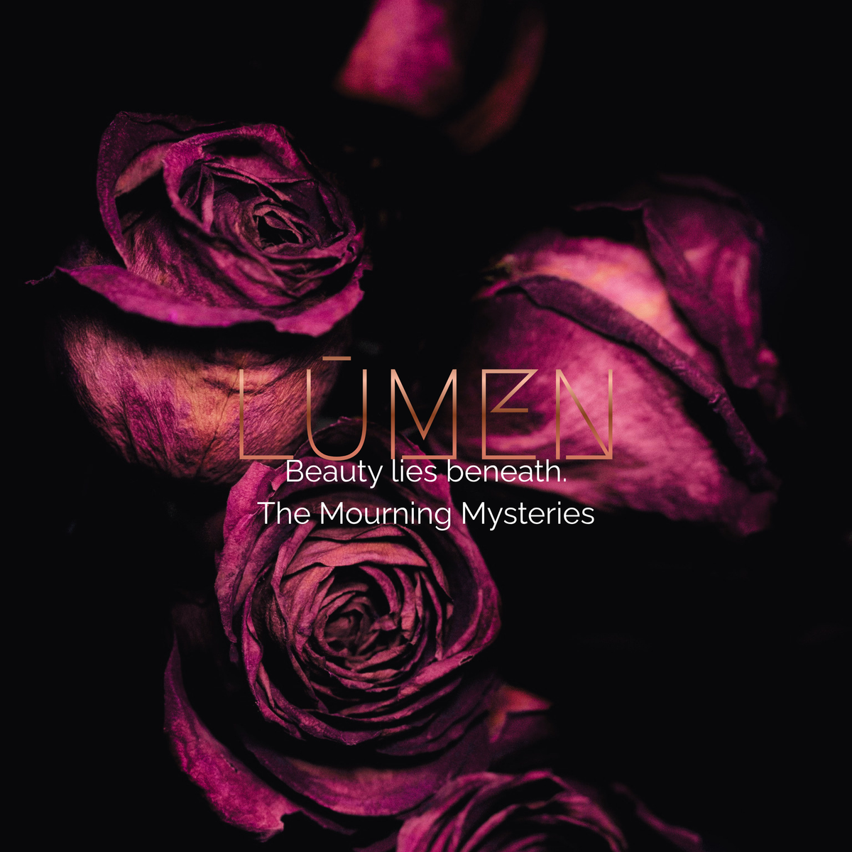 The Mourning Mystery Bundle