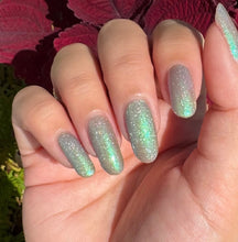 Load image into Gallery viewer, Stitched In Shadows