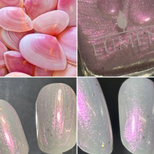 Load image into Gallery viewer, Shell Whisper
