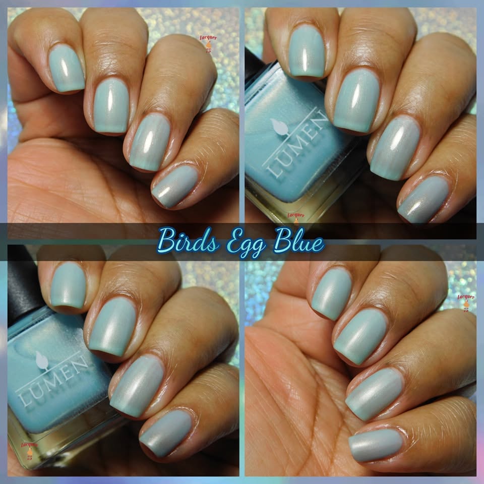 Birds Egg Blue