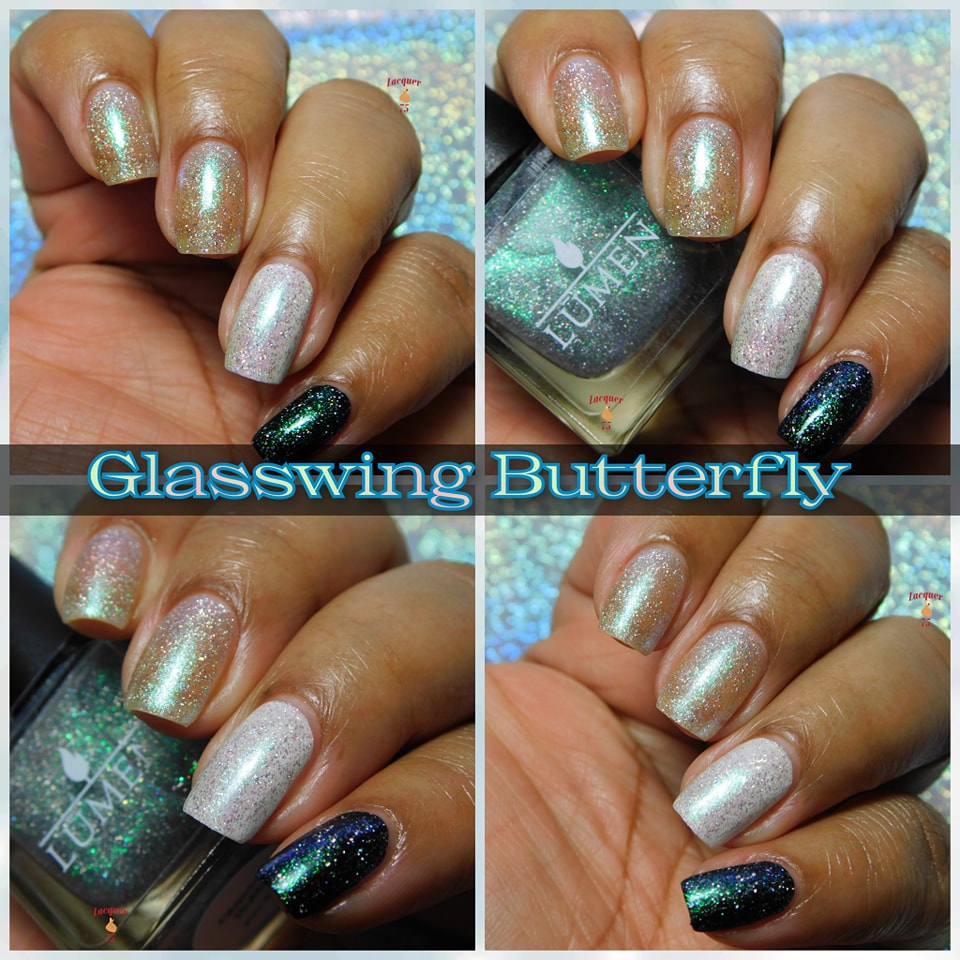Glasswing Butterfly