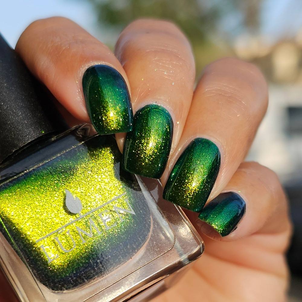 Plume Of Peacock
