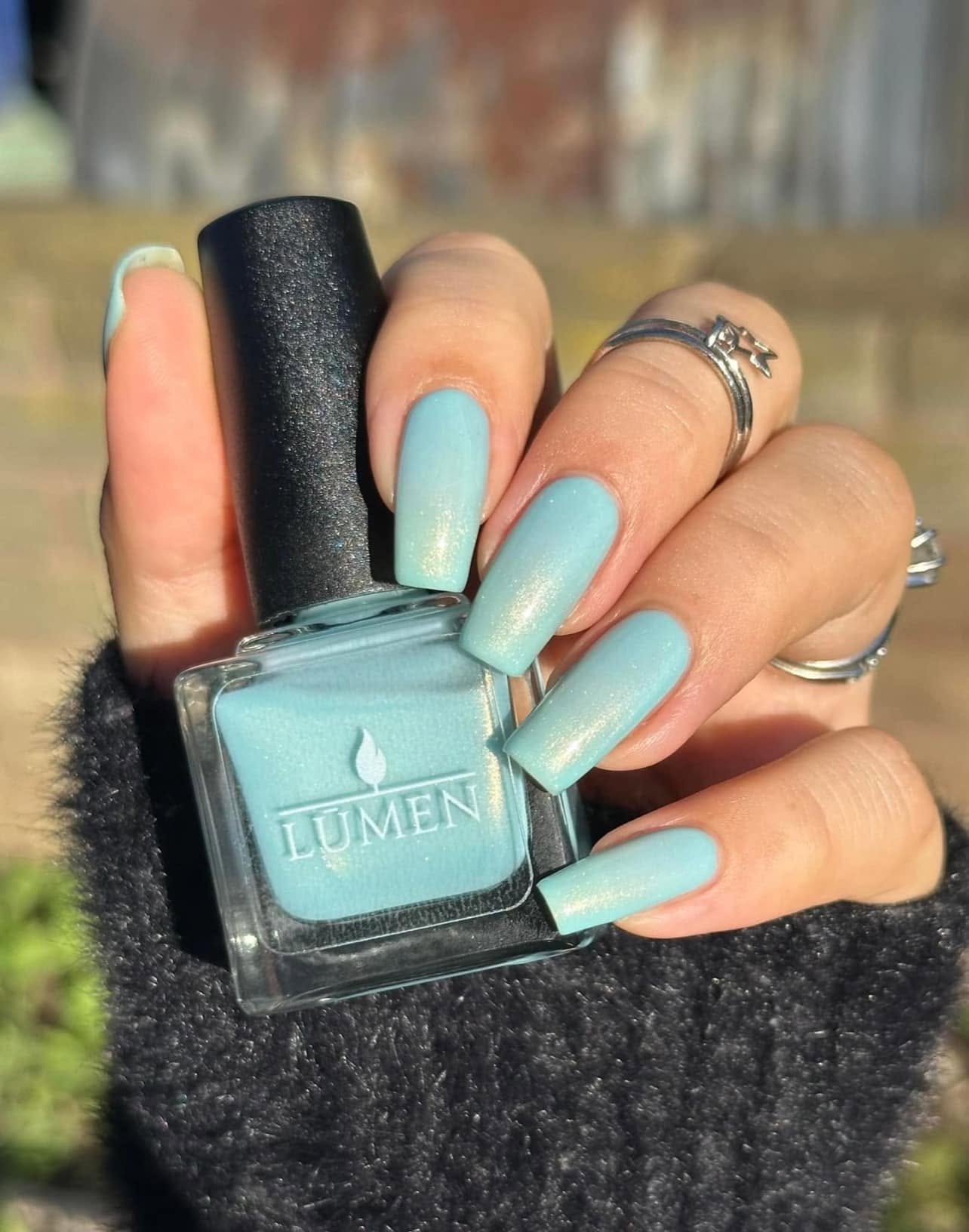 Birds Egg Blue