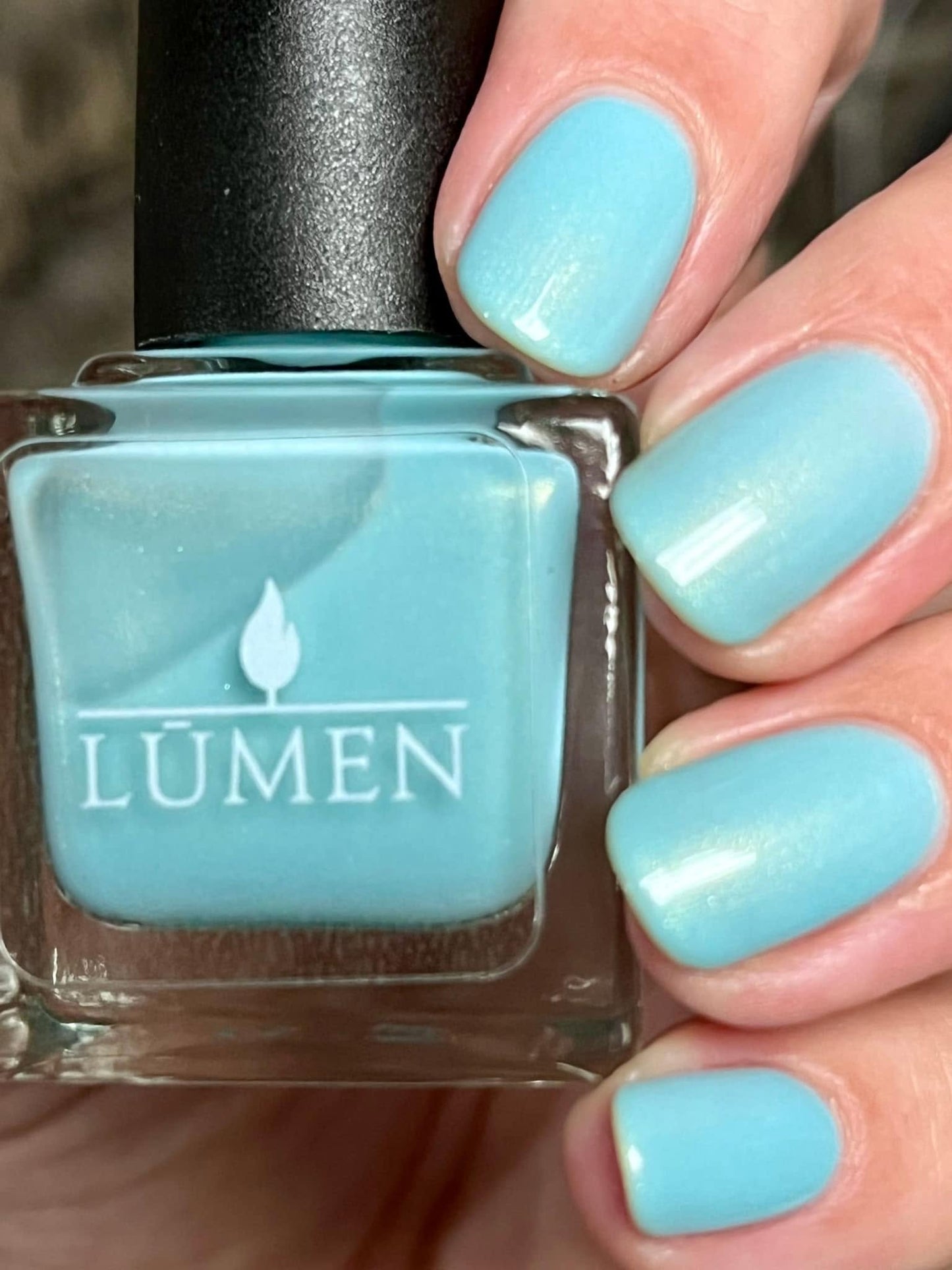Birds Egg Blue