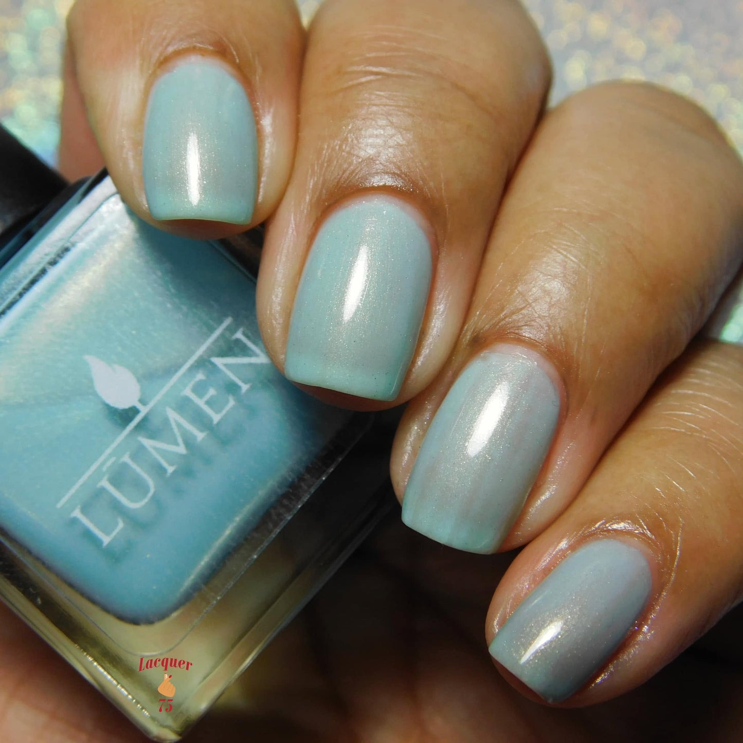 Birds Egg Blue