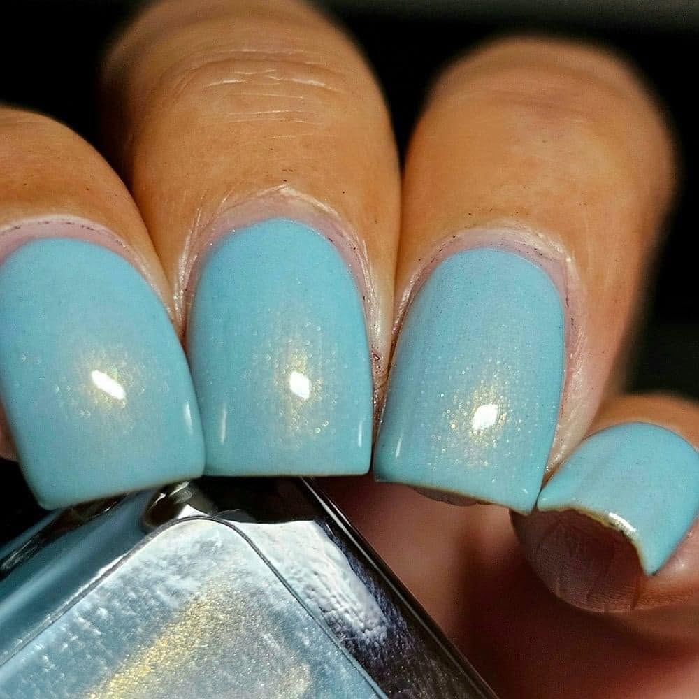 Birds Egg Blue