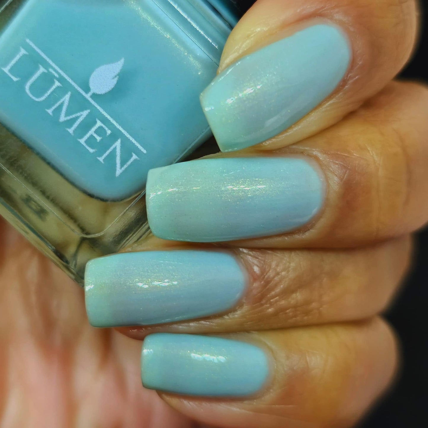 Birds Egg Blue