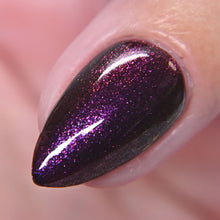 Load image into Gallery viewer, Midnight Fig
