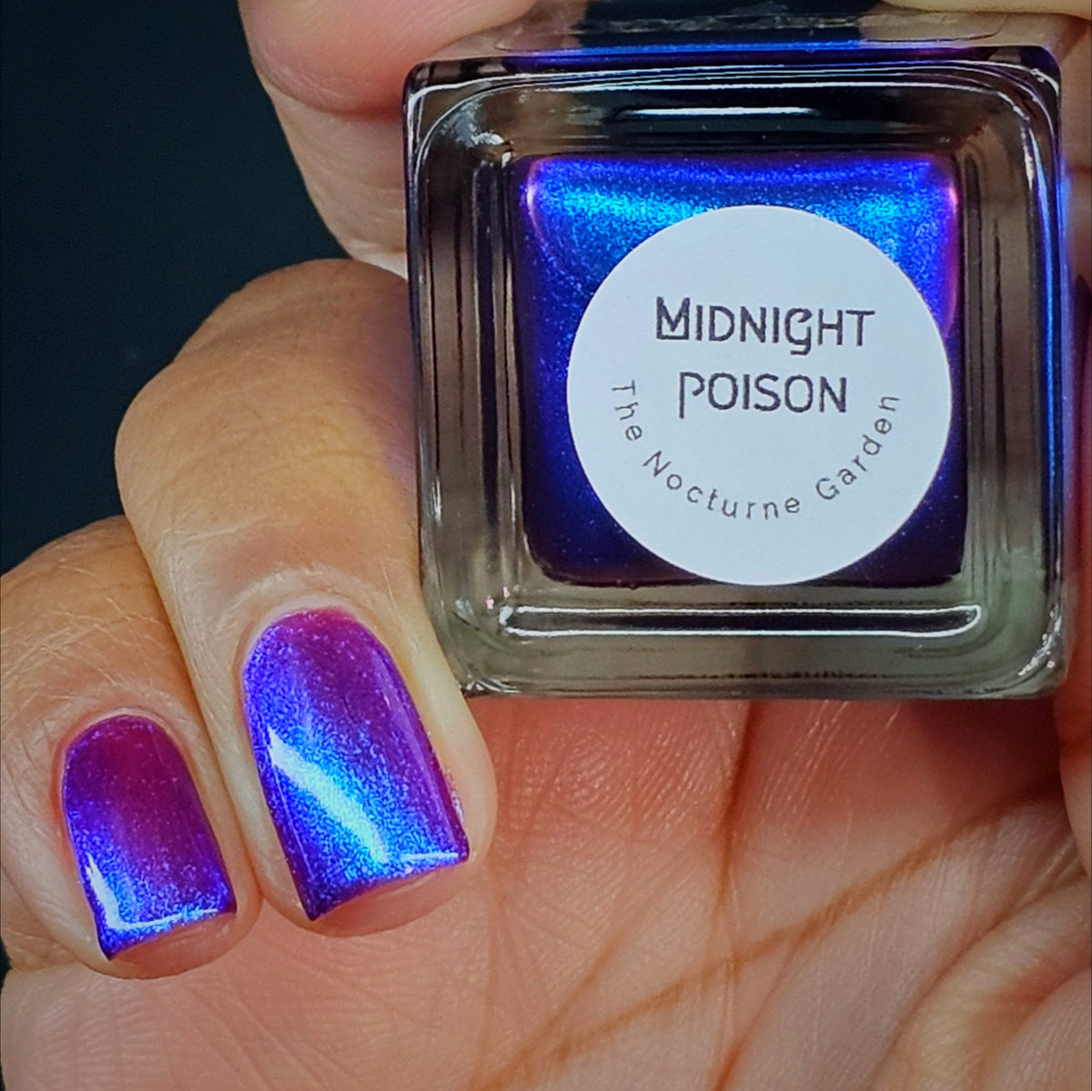 Midnight Poison
