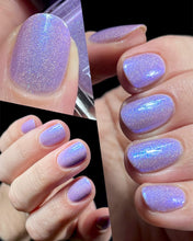 Load image into Gallery viewer, Snow Moth
