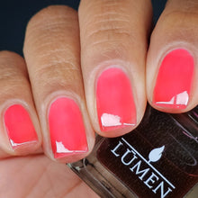 Load image into Gallery viewer, Cherry Glaze
