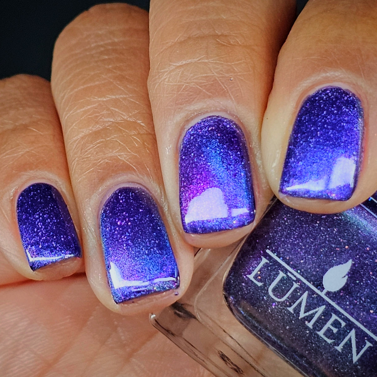Laced Nightshade