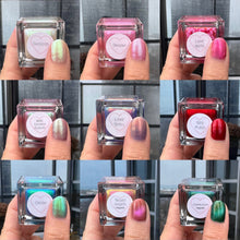 Load image into Gallery viewer, XOXO Collection
