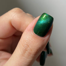 Load image into Gallery viewer, Confession
